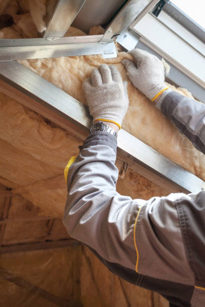 Best Geographic-Specific Insulation Services in Hilliard, OH