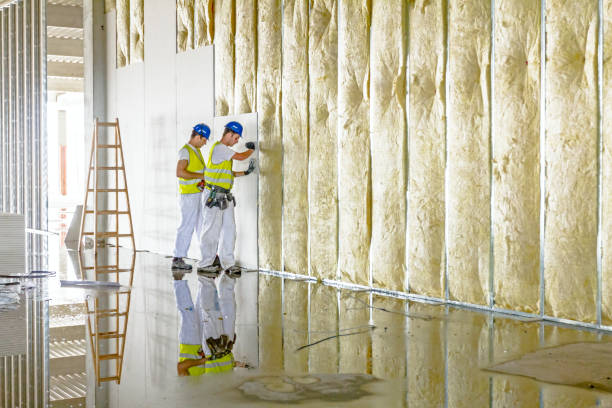 Best Insulation Maintenance and Repair in Hilliard, OH